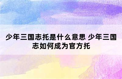 少年三国志托是什么意思 少年三国志如何成为官方托